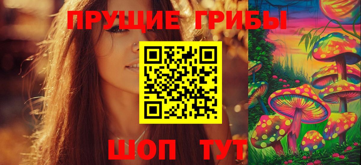 Галлюциногенные грибы Psilocybine cubensis  Псилоцибиновые грибы Cubensis  Вятские Поляны  Вход с VPN 